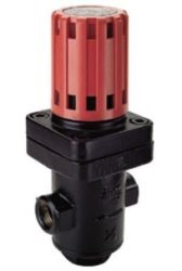 ARMSTRONG GD-30 Buhar Basınç Düşürücü Vana 0.2-1 Bar 1/2”