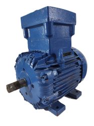 WEG Ex-Proof Elektrik Motoru 4 kW 1450 d/d IE2 B3 Ayaklı