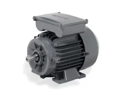 3 kw 3000 d/d Monofaze Elektrik Motoru