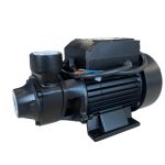 İMPO QB 60 Periferik Pompa 0,50 HP 220V