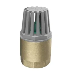 KLEPSAN Yaylı Dip Klape 1” PN16