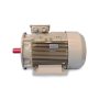 OMEGA 2.2 KW 1000 D/D Trifaze 3MAS 112MA6
