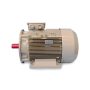OMEGA 2.2 KW 3000 D/D 3MAS 90LA2