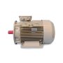 OMEGA 5.5 KW 3000 D/D 3MAS 132SA2