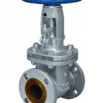 ProsesTedarik CGAV-20 API 600 Gate Vana