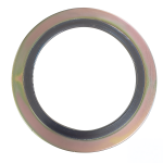 Spiral Sarımlı Çelik Conta PN16 DN40