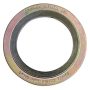 Spiral Sarımlı Çelik Conta PN40 DN25